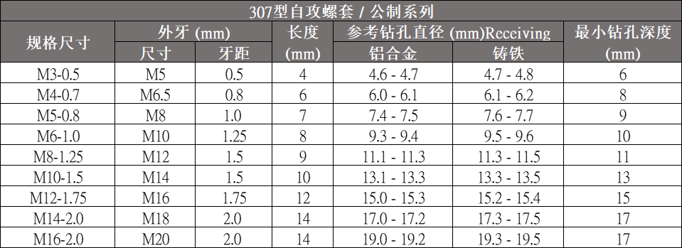 307公制